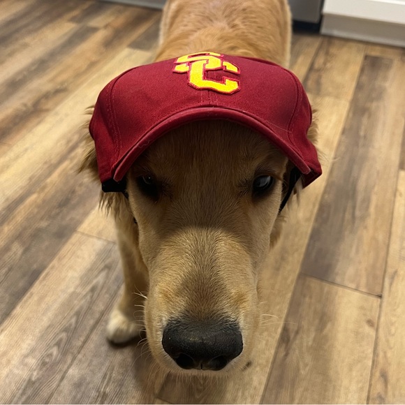 Red USC dog baseball hat - Picture 3 of 3